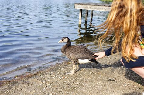 We did not find results for: ungewoehnlich uebernachten im ruhrgebiet-haus am see ...
