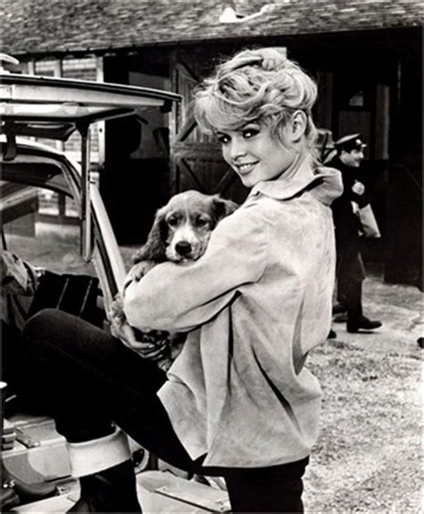 Franz bardon da wikipedia, l'enciclopedia libera. Pin van Iron Core Media op Brigitte Bardot (My legacy ...