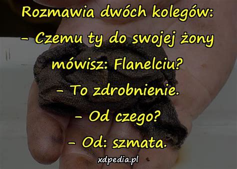 Opinie o ustawie są podzielone, ale robienie. Czemu ty do swojej żony mówisz: Flanelciu? - xdPedia (25568)