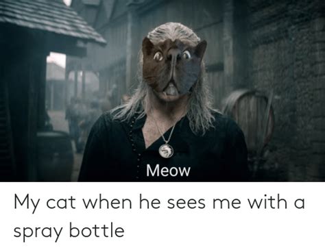 Meme cats got now spray bottle spray over here karen bottle over little. My Cat When He Sees Me With a Spray Bottle | Reddit Meme ...