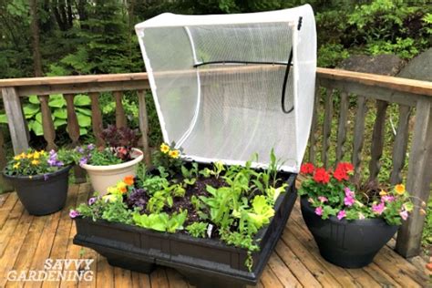 Top picks related reviews newsletter. Vegepods: Easy Raised Bed Gardens Where Anyone Can Grow ...