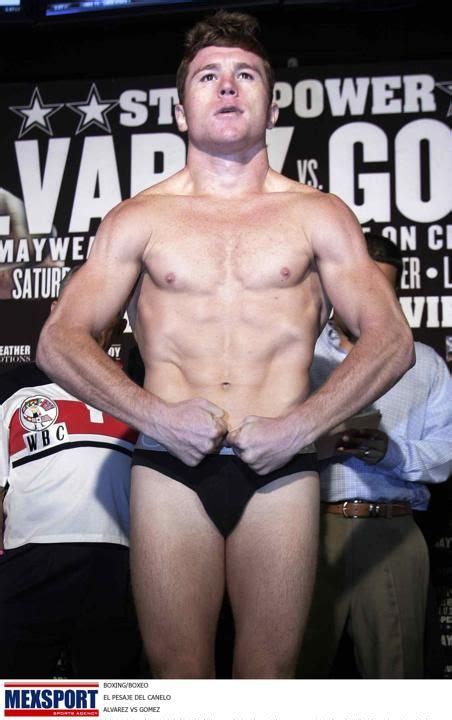 Santos saúl álvarez barragán (american spanish: 12 best images about Saul alvarez