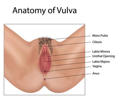 Eeeemmhhh… wajahnya terkaget, raymond dalam hisapan yang lembut membuat lidah nya berpindah masuk menjelajah mulut lelaki itu dan merasakan kehangatan yang ditawarkan. vagina longgar - Benarkah vagina jadi longgar setelah ...