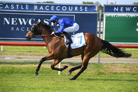 In 1459 the wood apparently extended to near the main road at randwick church. Randwick Guineas day Tips and Bets - Randwick Races 7/3 ...