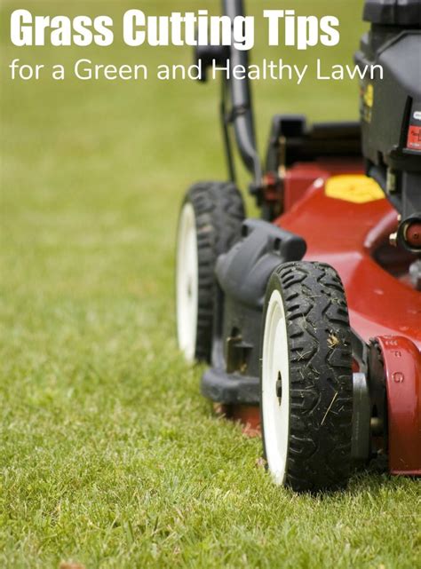 3 pack face mask by undwider for mowing grass freely. Grass Cutting Tips for a Green and Healthy Lawn - Turning ...