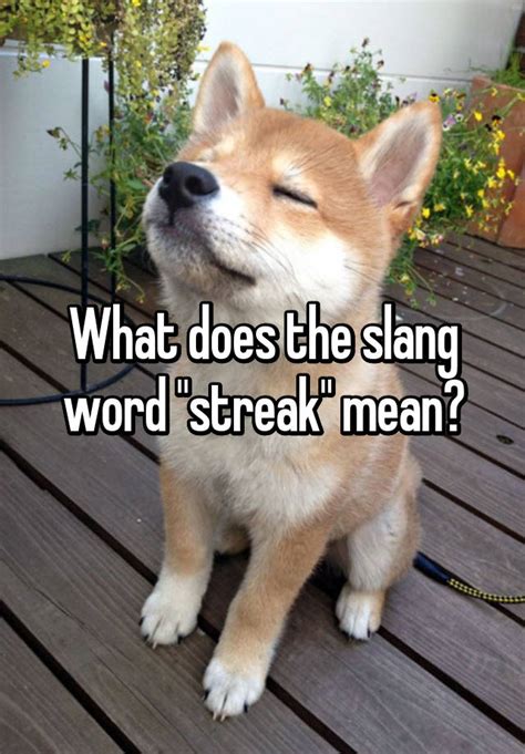 How to use as of in a sentence. What does the slang word "streak" mean?