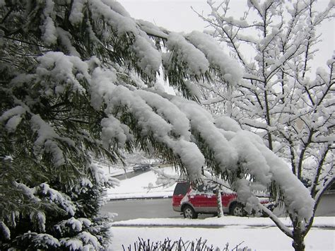 The photos before & after are very… more. Snow | February 2006, Lexington, KY | Rich Bowen | Flickr