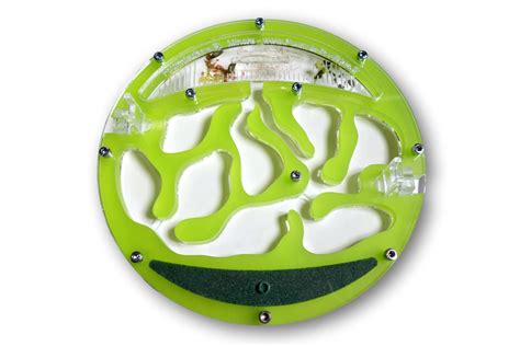 Fourmiculture crée des fourmilières artificielles innovantes pour réussir l'élevage de fourmis et l'observation des. Fourmiliere Interieure / Comment Trouver Un Nid De Fourmis Espace Pour La Vie : Vidéo une équipe ...