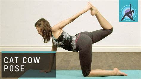 Practicing yoga regularly throughout your pregnancy will help you resist the urge to tighten your body when while practicing the balancing poses, make sure you stand close to a wall so that you can instantly hold it in. Cat Cow Pose, Yoga - YouTube