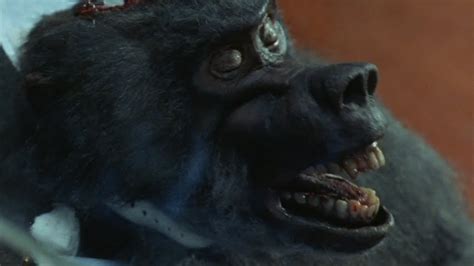 Primal rage is a 2018 horror film of the killer bigfoot genre, staring casey gagliardi, andrew joseph montgomery, and phil casados. Cool Ass Cinema: Reel Bad Cinema: Primal Rage (1988) review