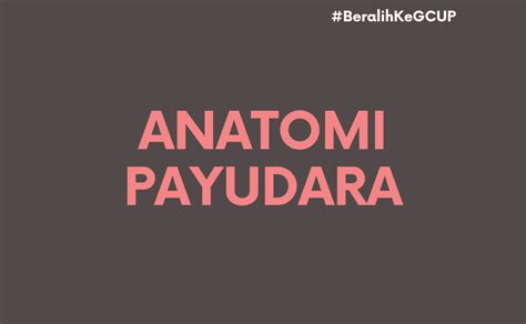 Contohnya, jika warna puting menggelap dan terasa seperti kesemutan, kemungkinan besar itu adalah tanda kehamilan. Anatomi payudara : Gcup