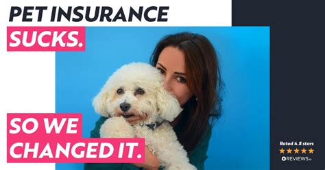 Waggel Blog - Comparing best pet insurance: Why Waggel is ...