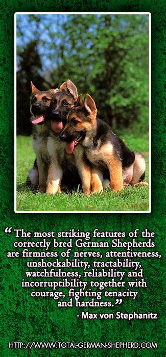 A shepherd or sheepherder is a person who tends, herds, feeds, or guards herds of sheep. Shepherd Quotes. QuotesGram