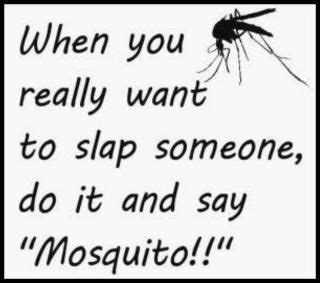 I got another letter from this lawyer today. When you really want to slap someone, do it and say ...