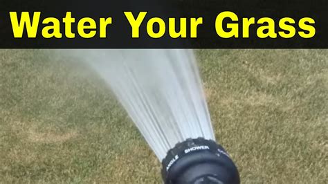 How often should you cut lawn? How Often Should You Water Your Grass-The Key To A Fuller ...