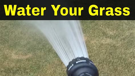 How often you would water a lawn depends on the grass type, heat and drought, and other factors. How Often Should You Water Your Grass-The Key To A Fuller Lawn - YouTube