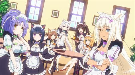Is it a mistake or will there be proper romance here (or shoujoai)? Nekopara OVA Subtitle Indonesia