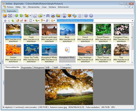 Es muy fácil de usar y es compatible con más 500 d'formatos de imagen. Descargar XnView 2.42 - Gratis en Español