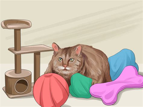 When we imitate sounds, we call those words onomatopoeia. How to Get Your Cat to Like You: 13 Steps (with Pictures)