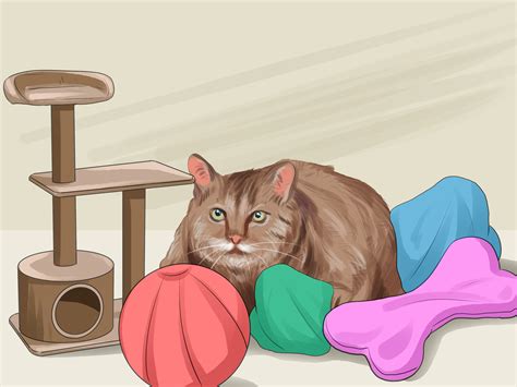 Maybe you would like to learn more about one of these? How to Get Your Cat to Like You: 13 Steps (with Pictures)