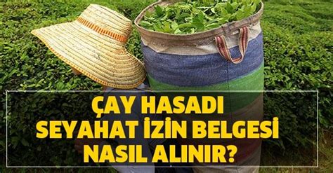 Corona virüsünün yayılmasını önlemek amacıyla alınan seyahat yasağı birçok ilde devam ediyor. E-Devlet seyahat izin belgesi nasıl alınır? Çay hasadı ...