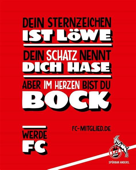 The best memes from instagram, facebook, vine, and twitter about fc koln. Pin auf Mer stonn zo Dir