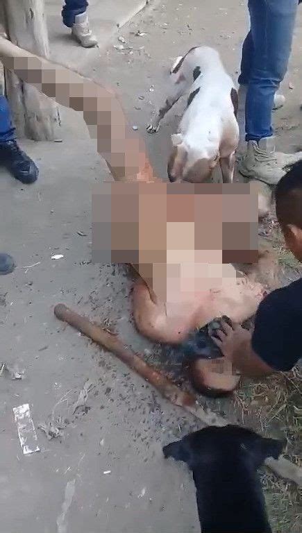 Pemaksaan terhadap gadis montok di pinggir jalan, video cewek cina diperk*sa oleh perampok, ayah bejat! Anjing Gigit Alat Kelamin Pelaku Pemerkosa Sampai Putus