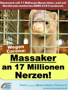 Aus sorge vor den folgen für kommende impfstoffe gegen das coronavirus werden in dänemark alle nerze getötet. Dänemark will 17 Millionen Nerze töten - Partei Mensch ...