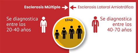 Multiple sclerosis is a chronic, unpredictable disease of the central nervous system (cns), which is made up of the brain, spinal cord and optic nerves. Diferencias entre Esclerosis Múltiple y ELA - Roche ...