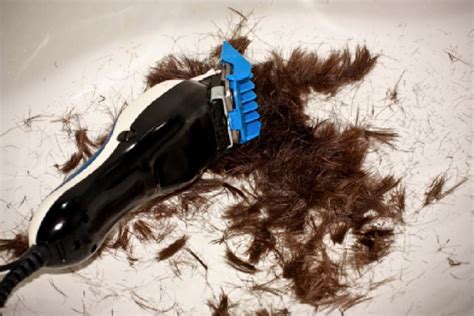 Experience the best men's grooming brand for below the waist hygiene! Students Forced to Trim Teacher's Pubic Hair
