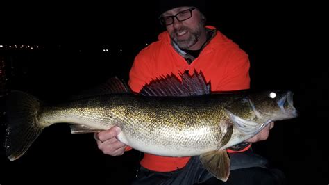 Walleyes from shore are an option for most of the year. Shore fishing for big Walleyes - YouTube