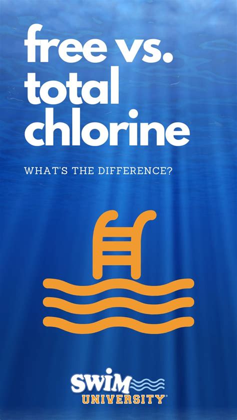 What's the difference between clorox and bleach. The Difference Between Total and Free Chlorine | Chlorine ...