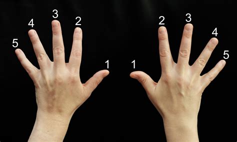 Today, i'll share my top 3 awesome and place your hand in the g position: A few helpful tips to improve your piano fingering ...