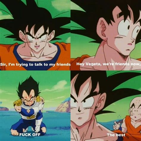 Maybe you would like to learn more about one of these? Vegeta and Goku DBZ Abridged | Funny dragon, Anime, Dragon ball z