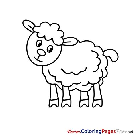 Serve with fennel fronds, a drizzle of olive oil and lemon. Lamb Children download Colouring Page