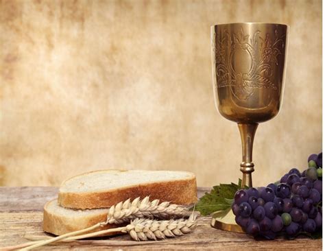 Gambar anggur dan roti perjamuan. 76+ Gambar Anggur Dan Roti Perjamuan Terlihat Keren ...