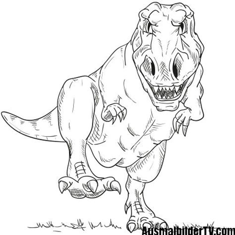 Zeichnung dinosaurier malvorlage dinosaurier zeich. t rex ausmalbild | Dinosaurier ausmalbilder, Ausmalbilder ...