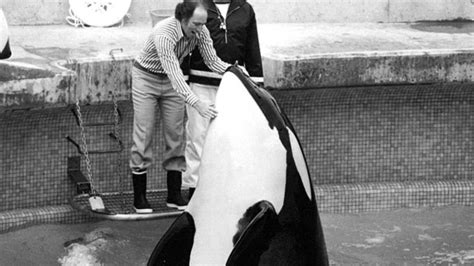 With over 60,000 amazing aquatic creatures at the vancouver aquarium, what will you see today? Archive photos show the Vancouver Aquarium when it opened ...