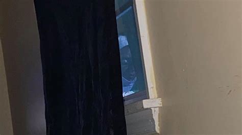 So when someone sprays raid in a room, all the bed bugs will detect it and will begin to scatter. Woman spots demon nun peering through her bedroom window ...