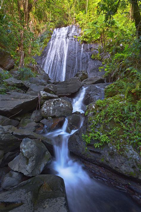 It can be seen on our map below, but you will see it on the west, right, side of pr 191 as you head up the mountain. La Coca Falls Photograph by Brian Knott Photography