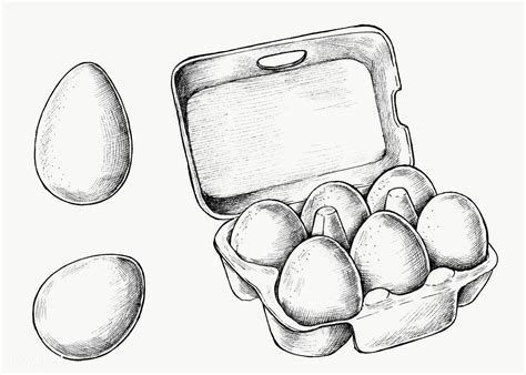 Want to discover art related to eggs? Hand drawn a box of raw eggs transparent png | free image ...