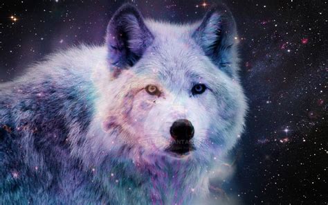 Wallpapers in ultra hd 4k 3840x2160, 8k 7680x4320 and 1920x1080 high definition resolutions. galaxy wolf reloaded (? by Darkplume on DeviantArt