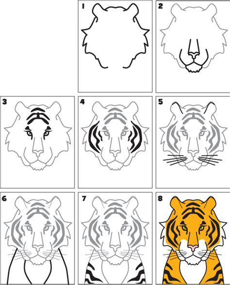 In our first tutorial, we looked at drawing lions, tigers, cheetahs and snow leopards. How To Draw a Tiger | Kid Scoop