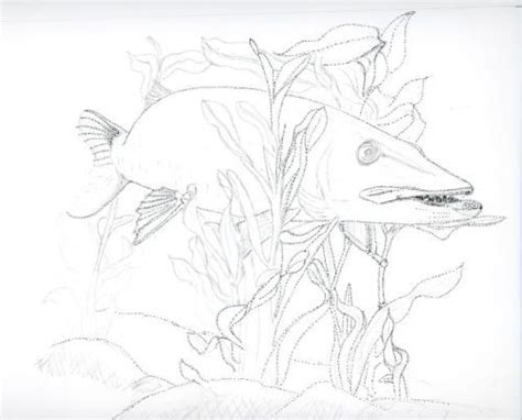 Some of the coloring pages shown here are musky coloring google search coloring fish drawings fish art, nor. Gallery For > Muskie Drawing | Drawings, Fish art ...