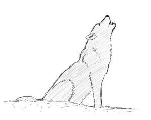 Ak tento problém neriešime, môžu sa dostaviť ďalšie bolesti. Jak nakreslit vlka? | jayassen.com