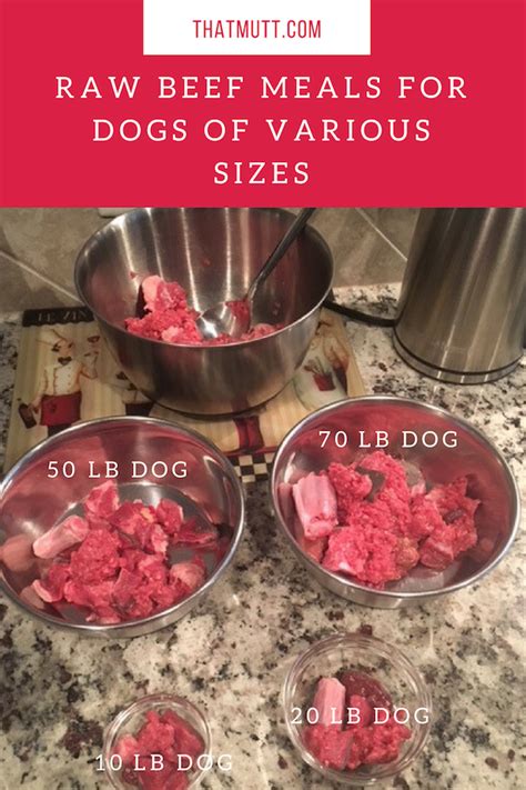 Raw dog food recipes and meal suggestions are readily found online and in books. Raw Dog Food on a Budget - Two DIY Raw Dog Food Recipes ...