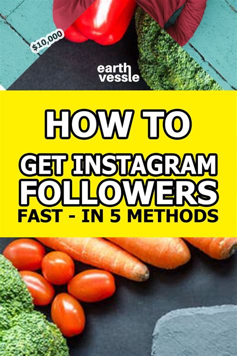 Fill out your instagram bio. How To Get Followers on Instagram Fast: #1 Ultimate Guide ...