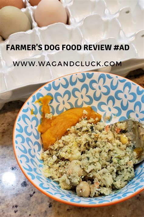 Vets get little or no nutritional training and are subject to the sales pitch and advice by processed food manufacturers that want to get their food for sale in the. Fresh Food: Farmer's Dog Food Review - Wag and Cluck | Dog ...