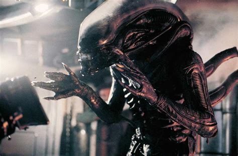 2,668 likes · 483 talking about this. Die Alien Saga - Die Moviepedia - Filme, Trailer, Stars ...