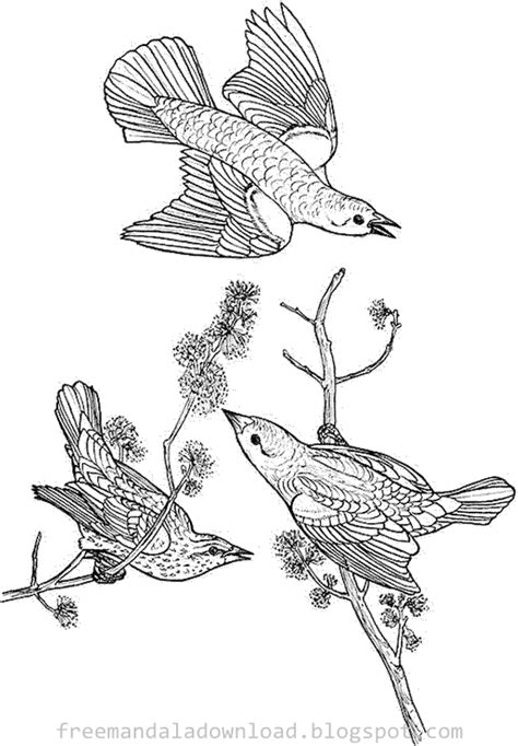 Malvorlage weltkarte diy art riesige weltkarte. Vogel-Mandala-Design download pdf-Bird Mandala Case download pdf - Free Mandala